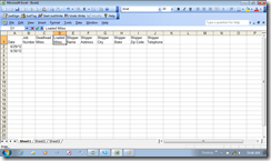 ExcelBlankBook1AddedFields