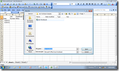 ExcelBlankBook1FileNaming