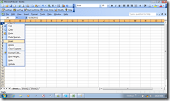 ExcelBlankBook1InsertBlankRow