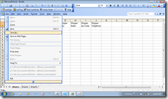 ExcelBlankBook1SaveAs1